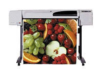 Impresora HP Designjet 500 Plus (24 pulgadas) (C7769F#ABE)